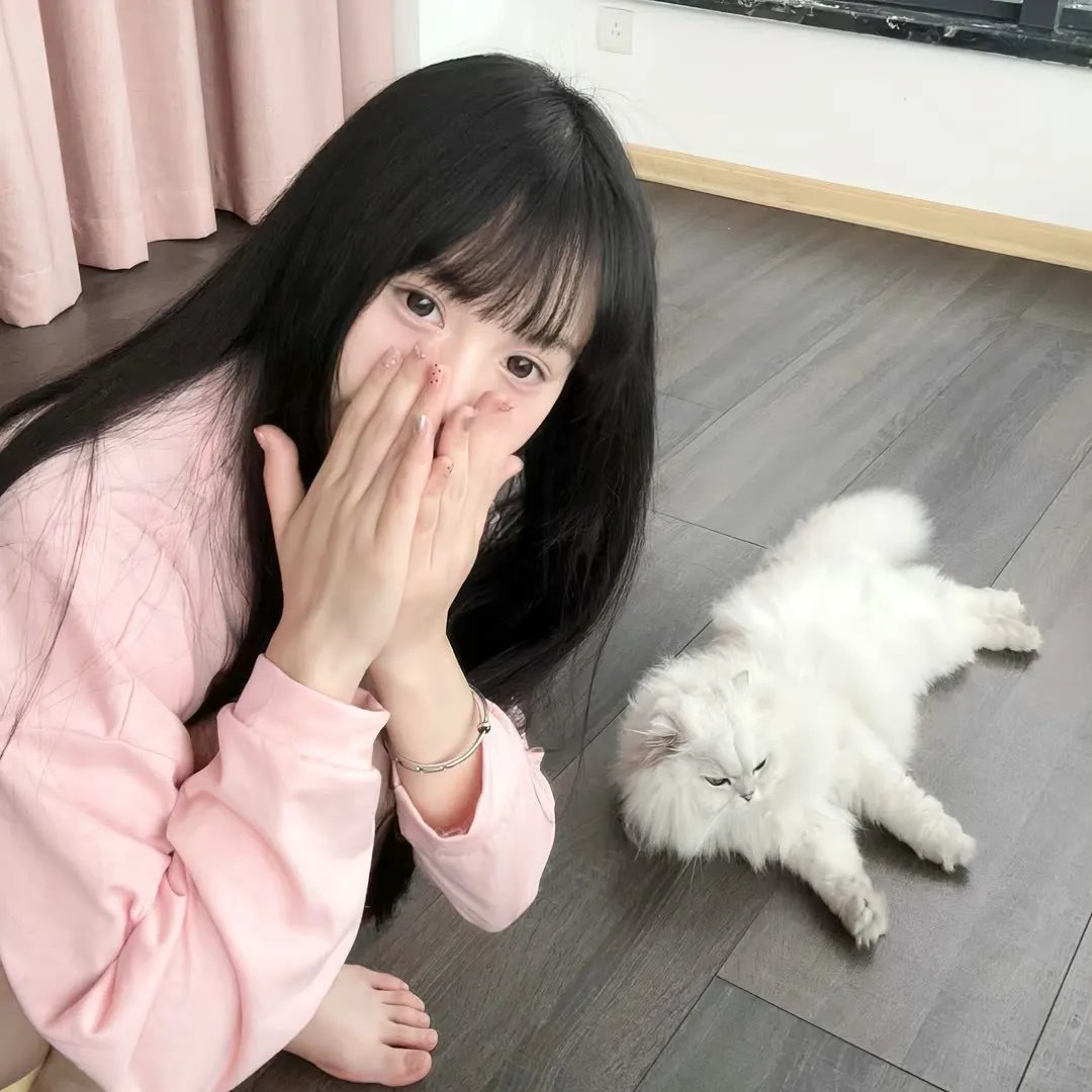 天使杀手封面